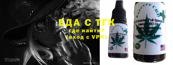 стаф Корсаков