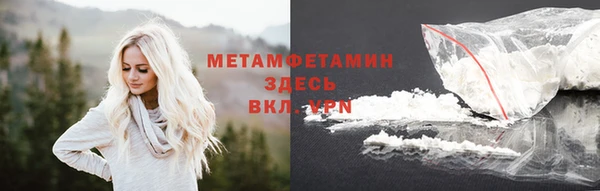 стаф Корсаков