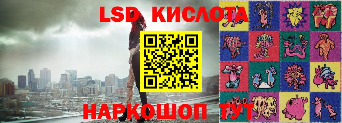 Codein Лабинск